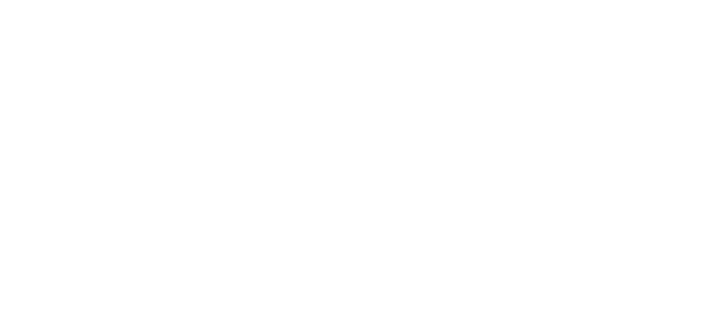 Kiwi Leaders
