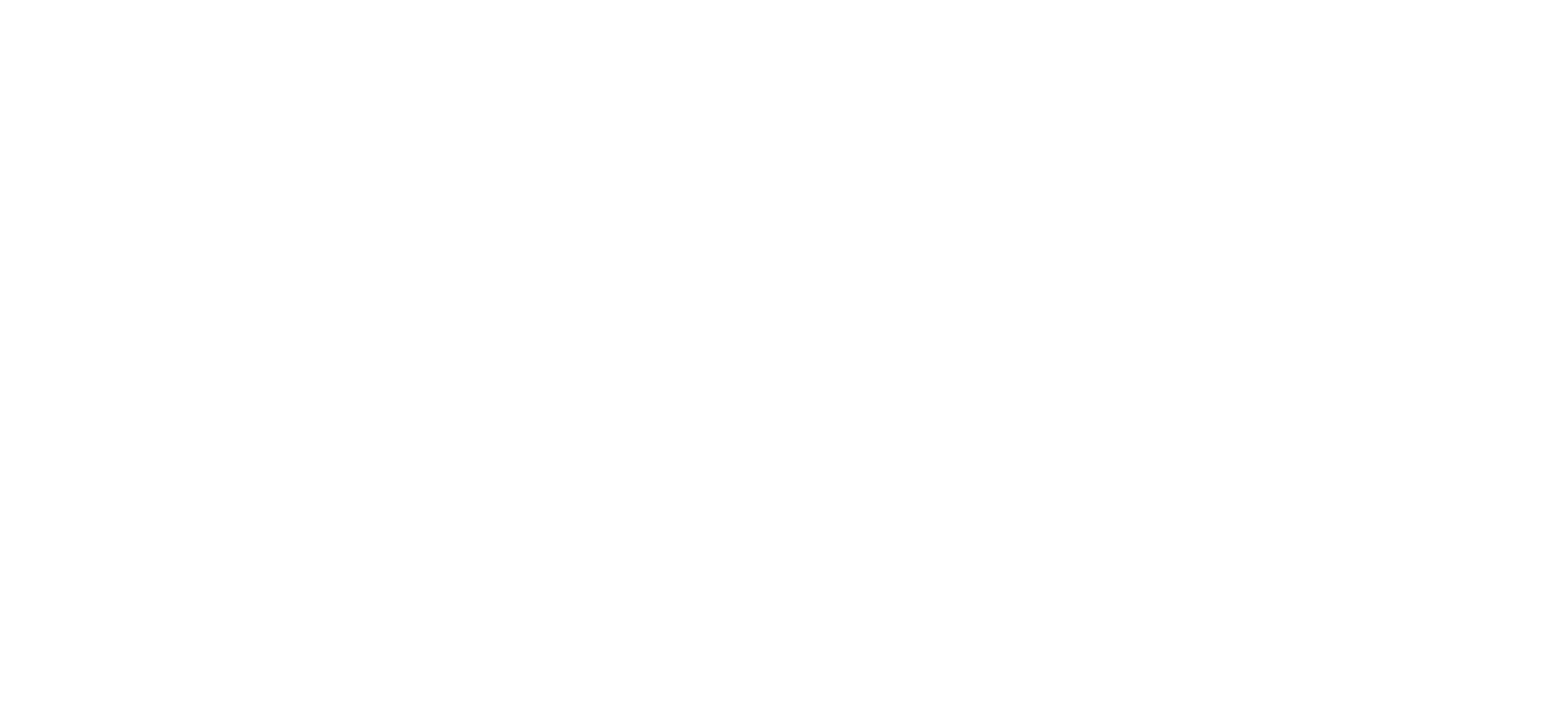 Kiwi Leaders